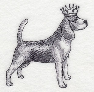 Beagle in Crown