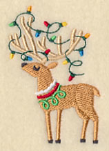 Reindeer with Christmas Lights