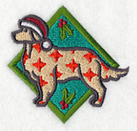 Golden Retriever - Stars