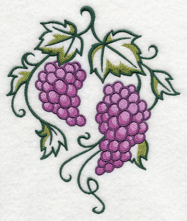 Graceful Grape Bunches