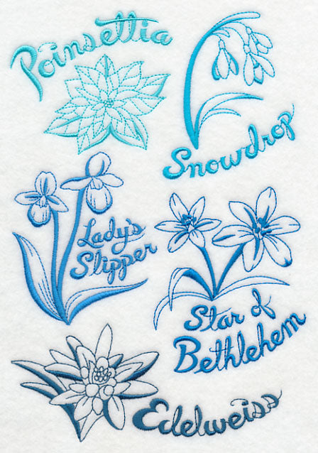 Winter Garden Collage