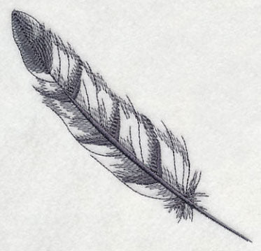 Feather - Bald Eagle