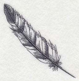 Feather - Bald Eagle