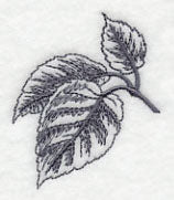 Birch Leaf