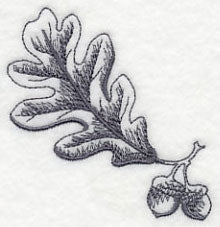 Oak Leaf