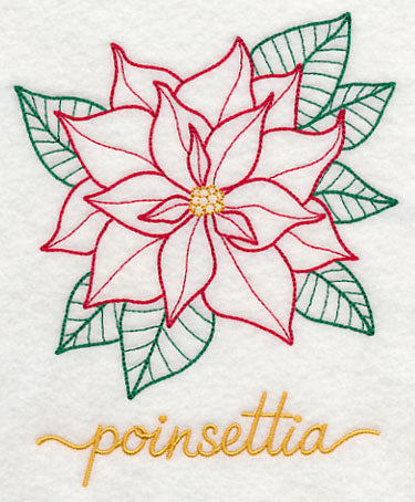 Christmas Bliss Poinsettia
