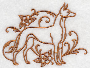 Graceful Ibizan Hound