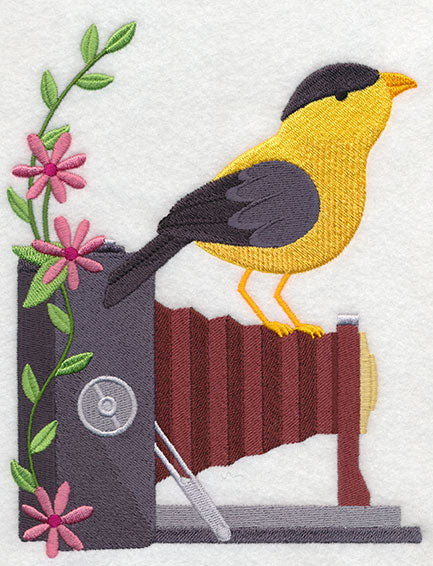 Antique Camera with Bird