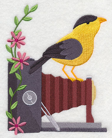 Antique Camera with Bird