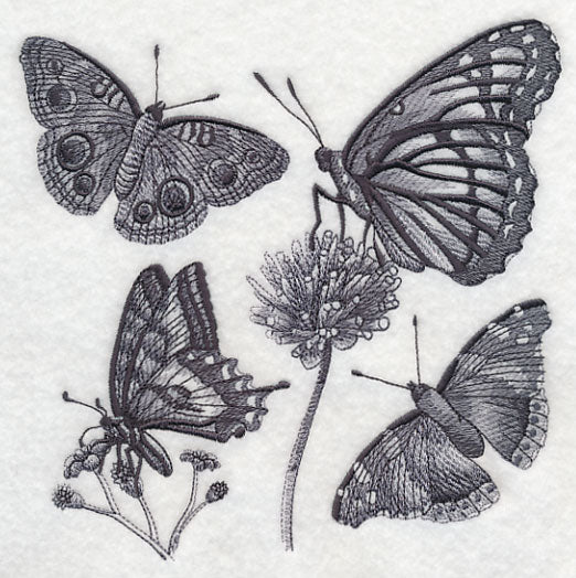 Butterfly Sketch