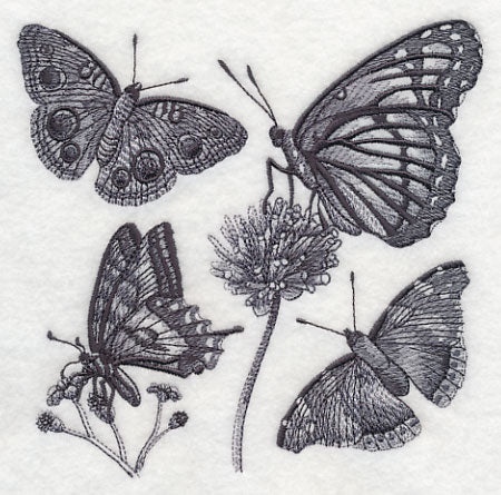 Butterfly Sketch