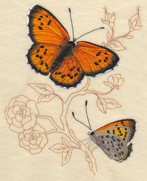 Lustrous Copper on Delicate Branches