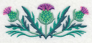 Celtic Thistle Border