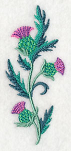 Celtic Thistle Spray