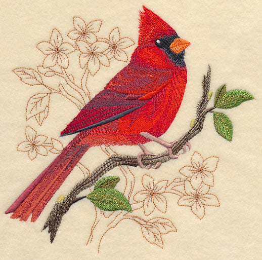 Cardinal with Delicate Branches