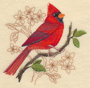 Cardinal with Delicate Branches