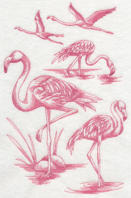 Flamingo Sketch
