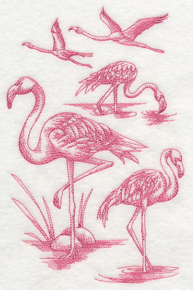 Flamingo Sketch