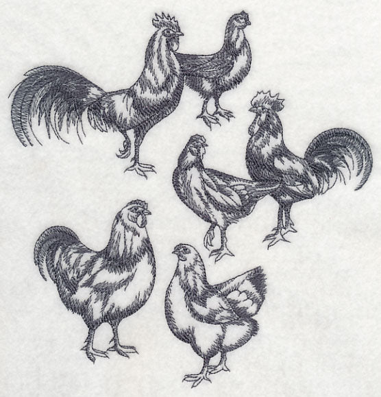 Country Chicken Sketch