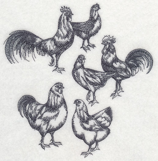 Country Chicken Sketch