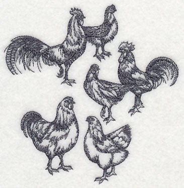 Country Chicken Sketch