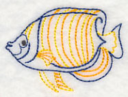 Tropical Fish Regal Angelfish (Vintage)