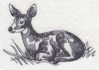 Spring Deer in Grass