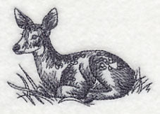 Spring Deer in Grass