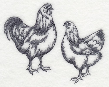 Country Chicken Pair 3