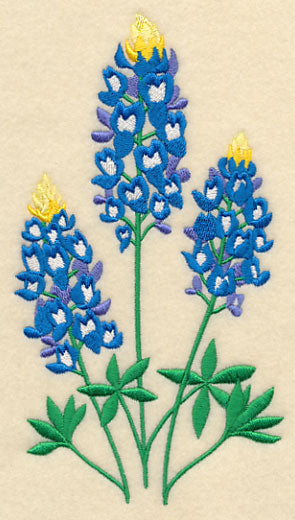 Bluebonnet Trio