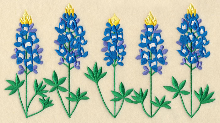 Bluebonnet Border