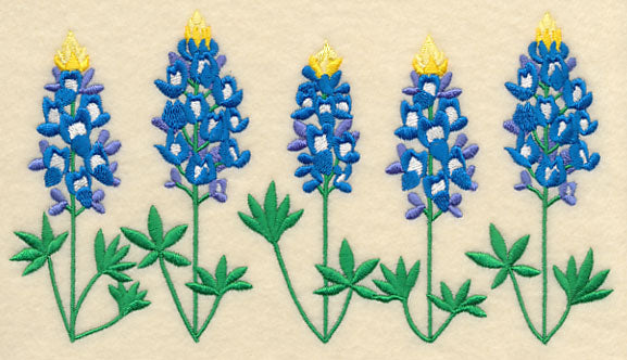 Bluebonnet Border