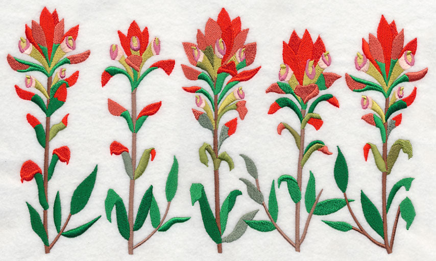 Indian Paintbrush Border