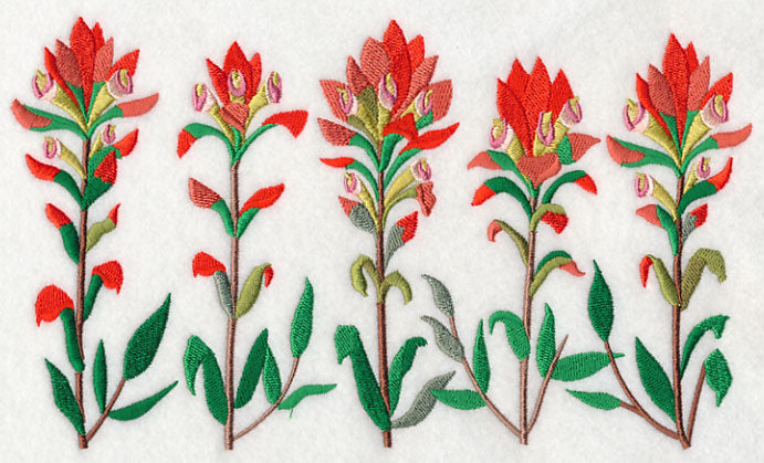 Indian Paintbrush Border