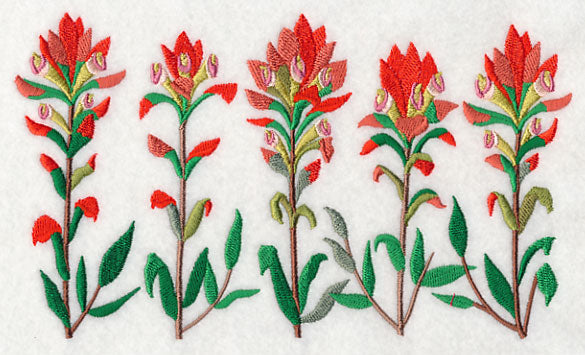 Indian Paintbrush Border