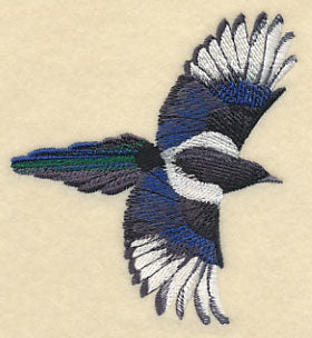 Black-Billed Magpie In Flight