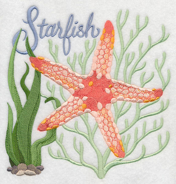Starfish on the Shore