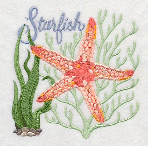 Starfish on the Shore
