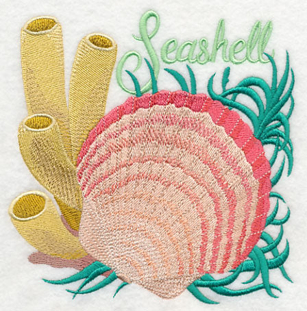 Seashell on the Shore