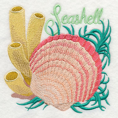 Seashell on the Shore