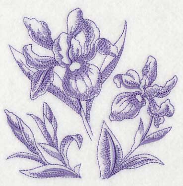 Iris Botanical (Toile)