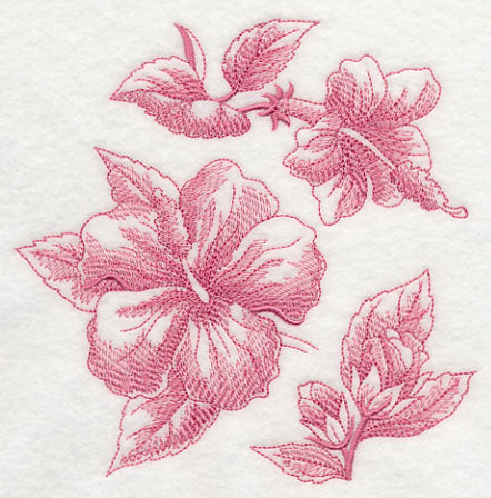 Hibiscus Botanical (Toile)