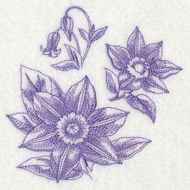 Clematis Botanical (Toile)