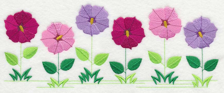 Country Charm Border - Petunia