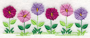 Country Charm Border - Petunia
