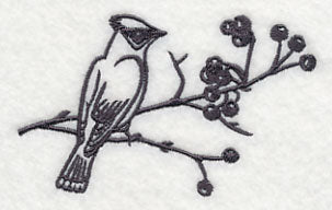 Simply Birds on Branches - Cedar Waxwing