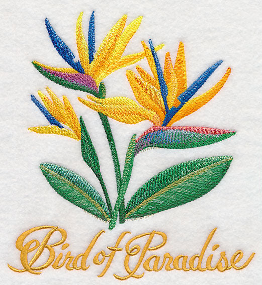 Bird of Paradise Flower in Watercolor