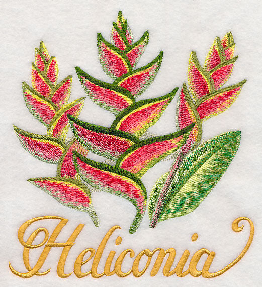 Heliconia in Watercolor