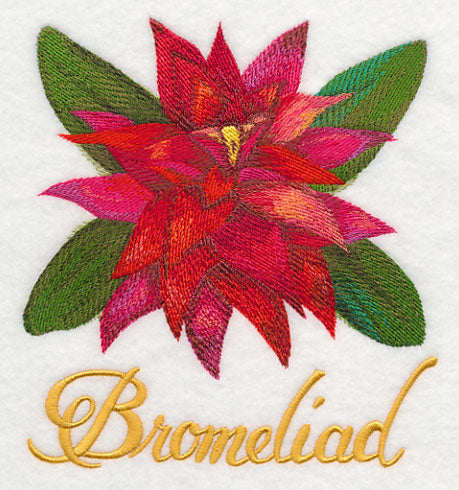 Bromeliad in Watercolor