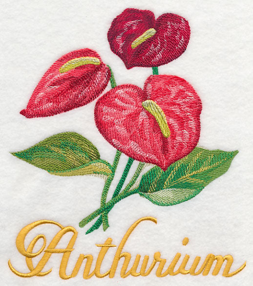 Anthurium in Watercolor